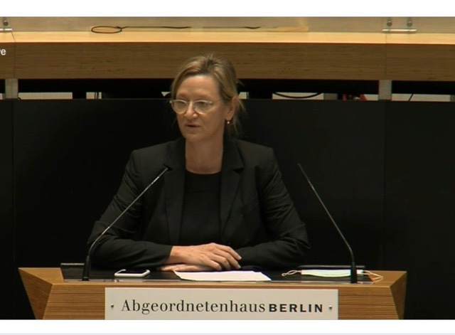Meine Rede zum Antrag „Immobiliengeldwäsche verstärkt bekämpfen – abgeschöpfte Immobilien für das Gemeinwohl nutzen“