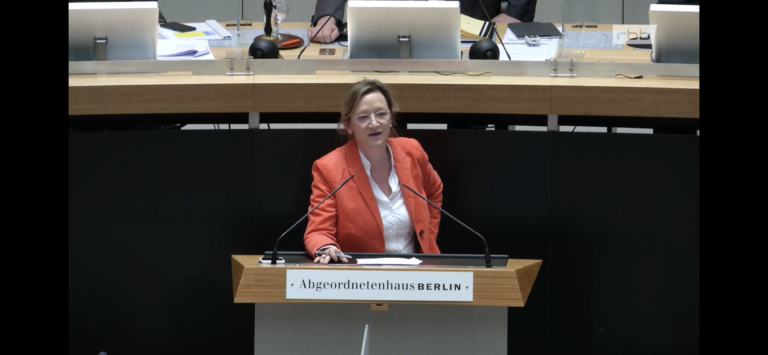 Meine Rede zu meinem Antrag zum Schutz gegen häusliche Gewalt