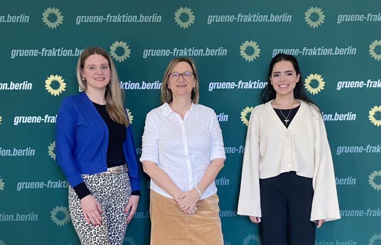 Strategien gegen Häusliche Gewalt: Im Gespräch mit den Fachfrauen vom „Berliner Modell“
